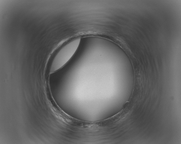 X0000051920395200506241135