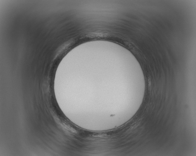 X0000051920396200506241135