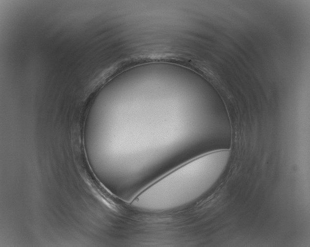 X0000051920397200506241135