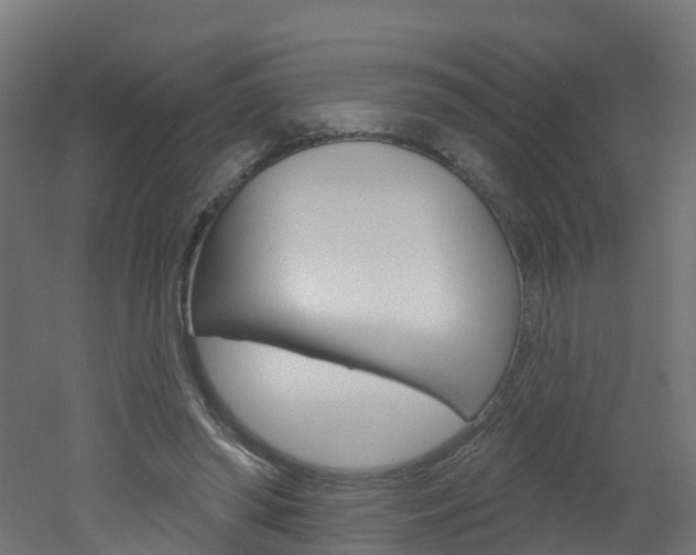 X0000051920398200506241135