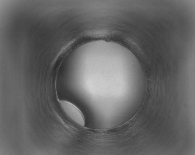 X0000051920400200506241135