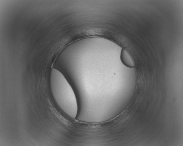 X0000051920402200506241135