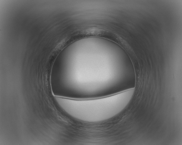 X0000051920403200506241135