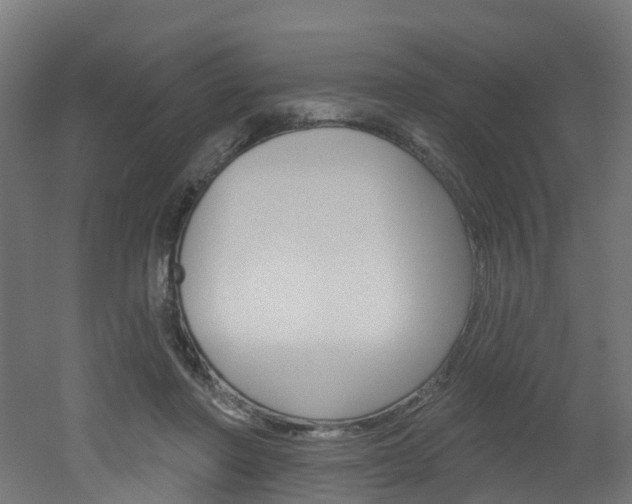 X0000051920406200506241134