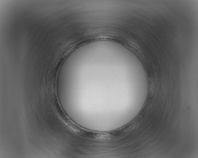 X0000051920410200506241134