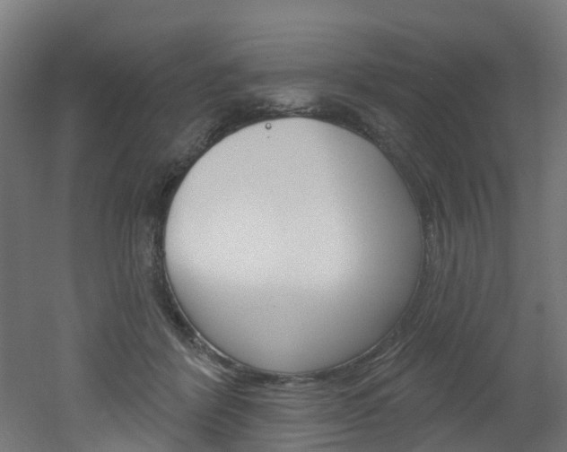 X0000051920412200506241134