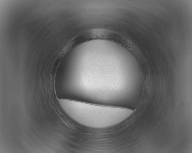 X0000051920413200506241134
