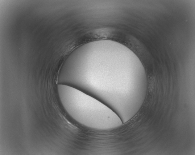 X0000051920414200506241134