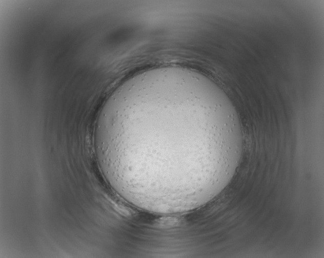 X0000051920418200506241134