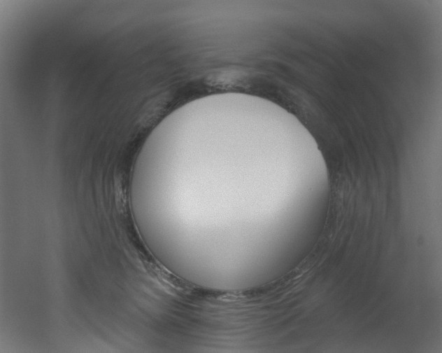 X0000051920420200506241134