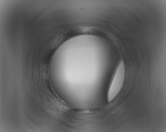X0000051920421200506241134