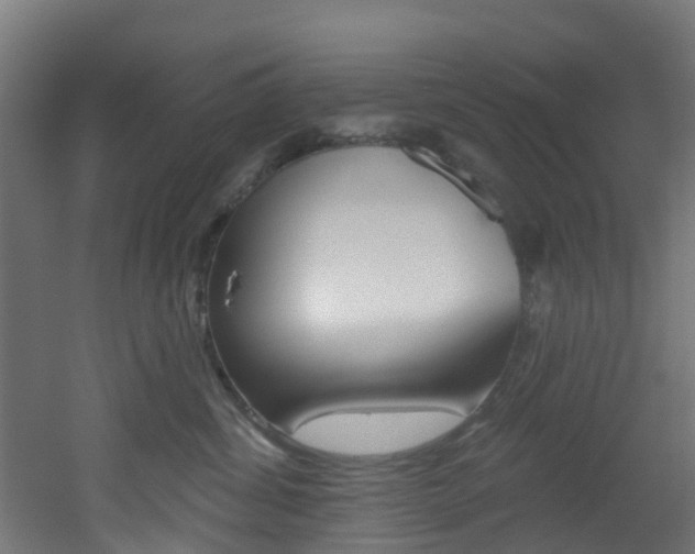 X0000051920428200506241134