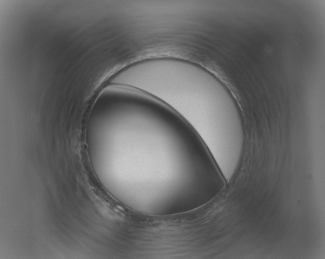 X0000051920434200506241133