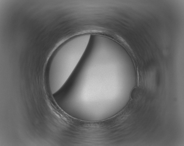 X0000051920435200506241133