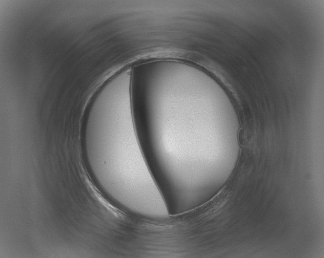 X0000051920437200506241133
