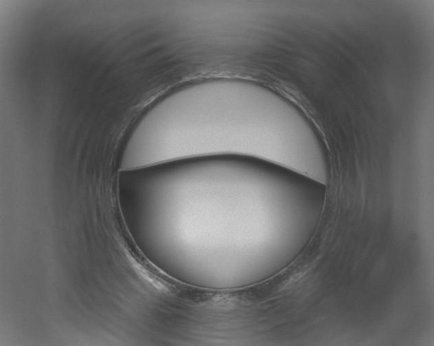 X0000051920441200506241133