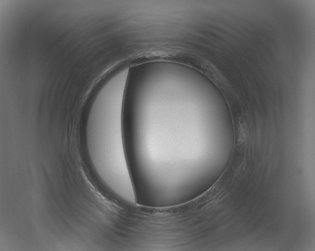 X0000051920444200506241133