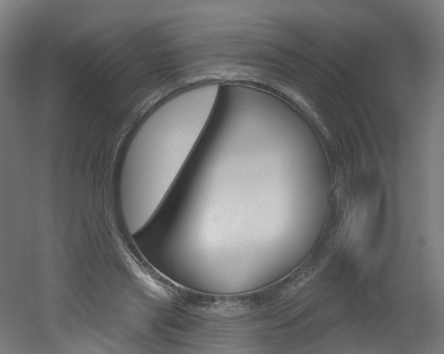X0000051920445200506241133
