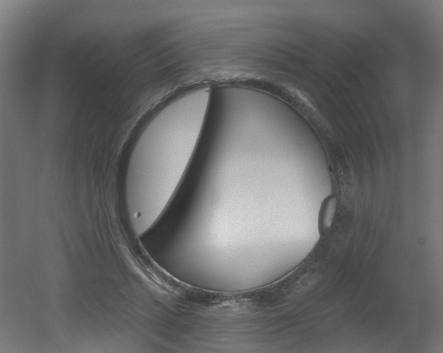 X0000051920447200506241133