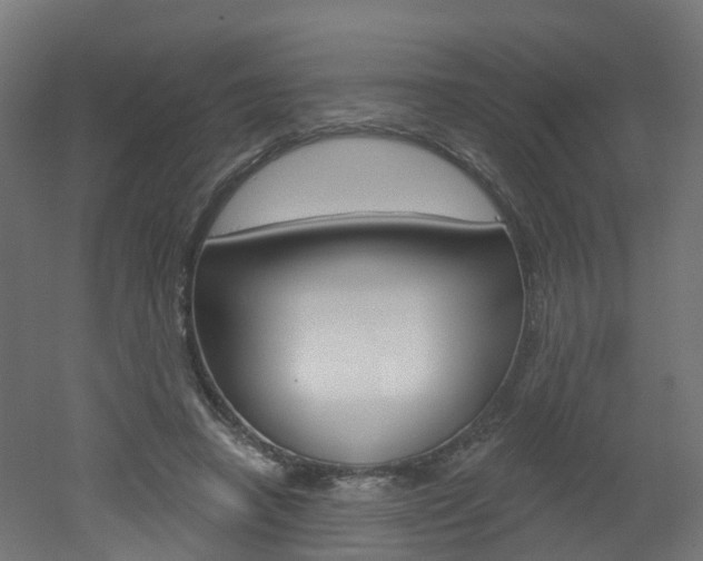 X0000051920450200506241134