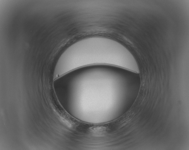 X0000051920452200506241134