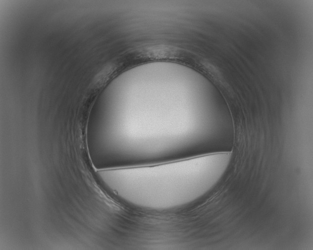 X0000051920453200506241134