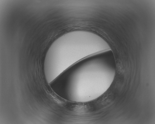 X0000051920458200506241134