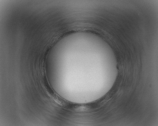 X0000051920460200506241134
