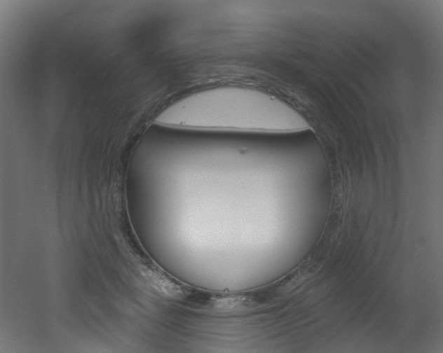 X0000051920461200506241134