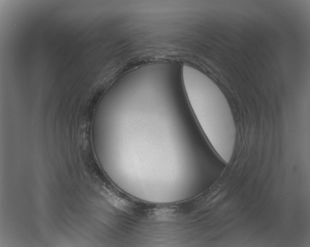 X0000051920462200506241134