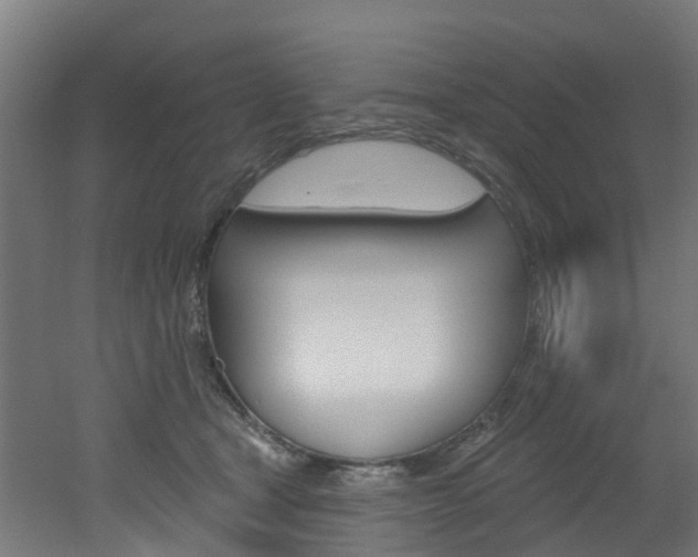 X0000051920465200506241134
