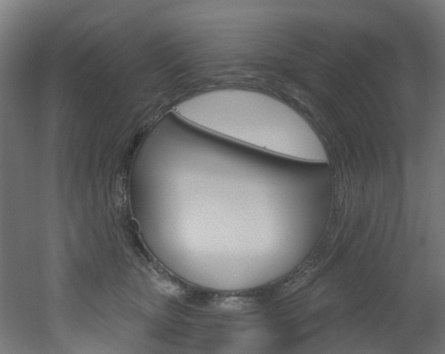 X0000051920467200506241134