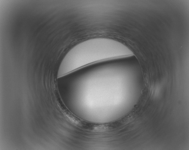 X0000051920470200506241134