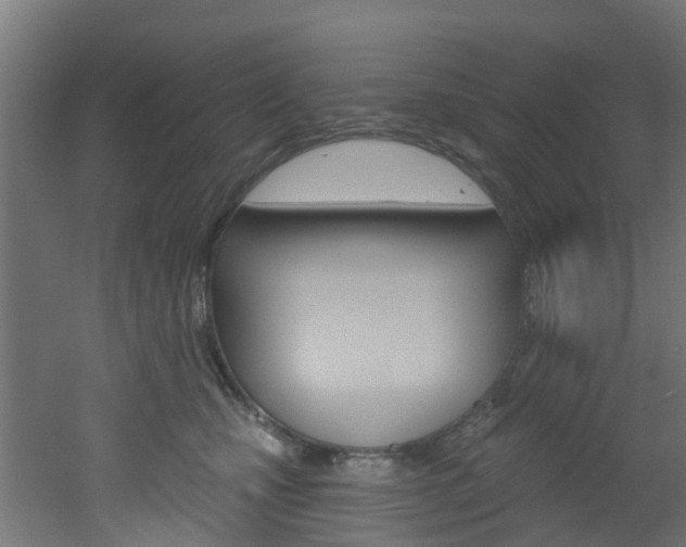 X0000051920471200506241134