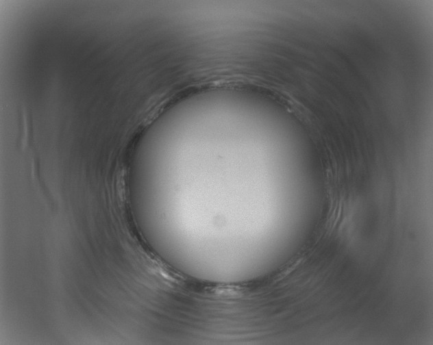 X0000051920475200506241134