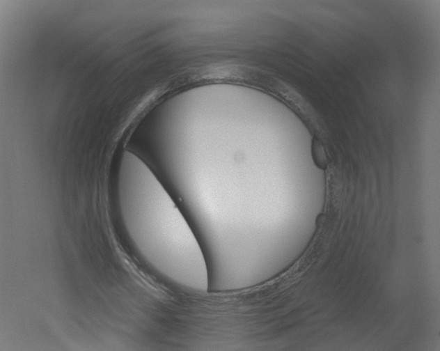 X0000051920482200506241133