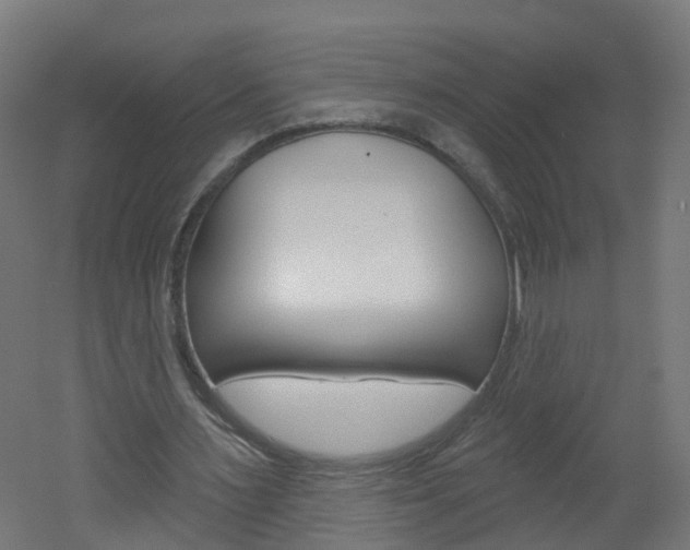 X0000051920483200506241133