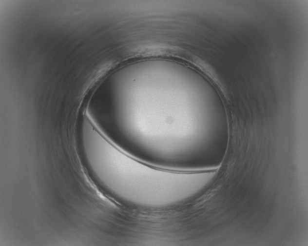 X0000051920485200506241133