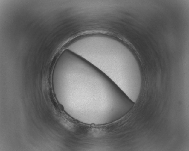 X0000051920487200506241133