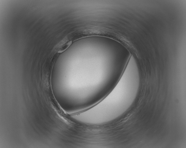 X0000051920489200506241133