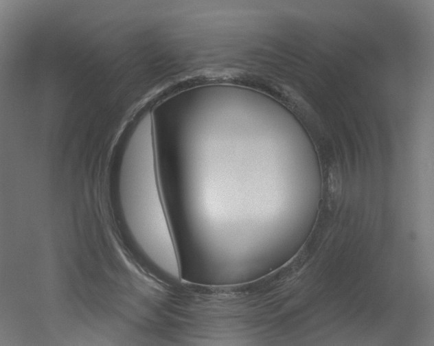 X0000051920492200506241133