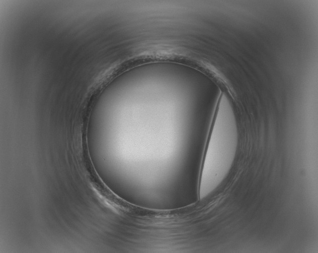 X0000051920493200506241133