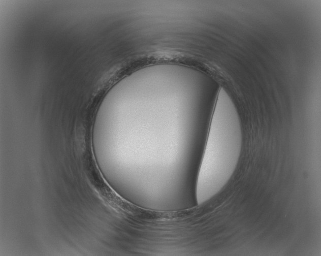X0000051920496200506241133