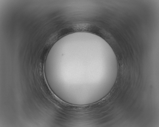 X0000051920498200506241133
