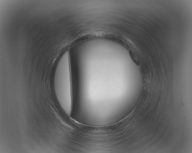 X0000051920500200506241133