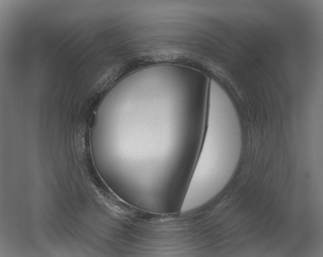 X0000051920501200506241133