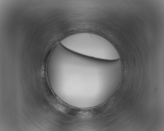 X0000051920502200506241133