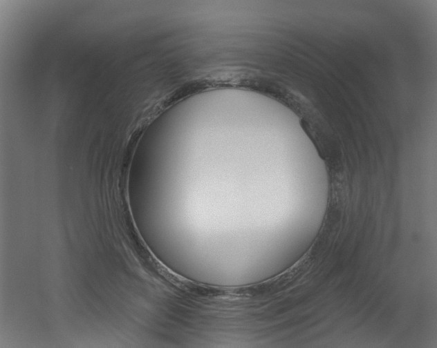 X0000051920504200506241133
