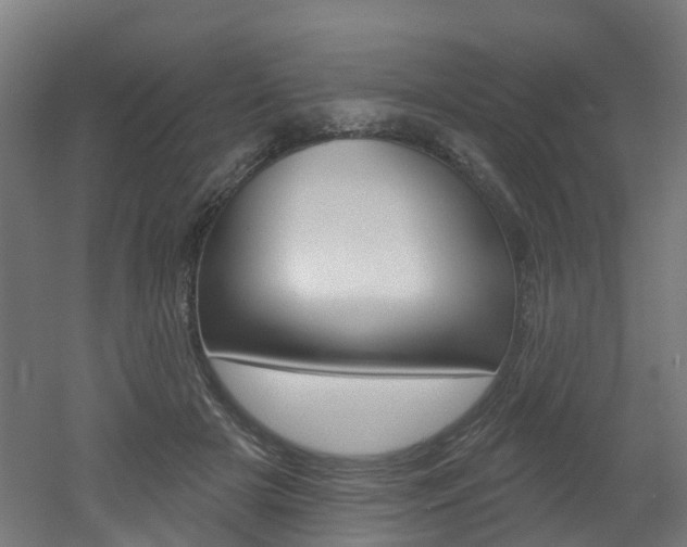 X0000051920505200506241133