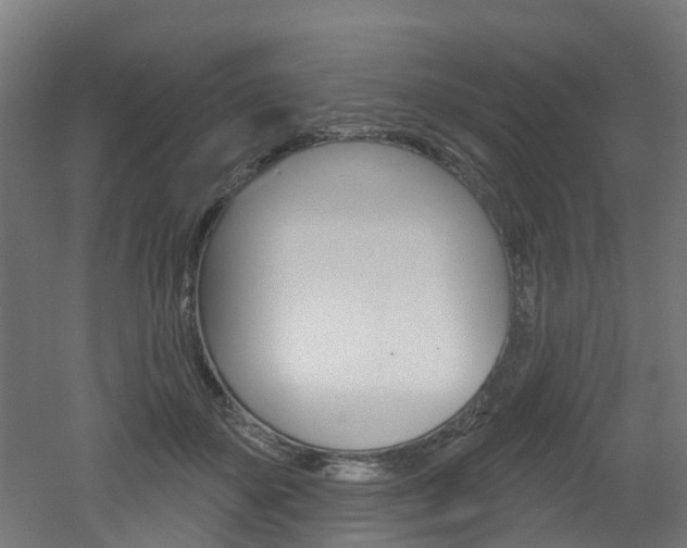 X0000051920507200506241133